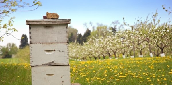 Τα Προϊόντα μας για τους Μελισσοκόμους